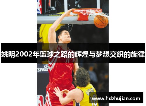 姚明2002年篮球之路的辉煌与梦想交织的旋律